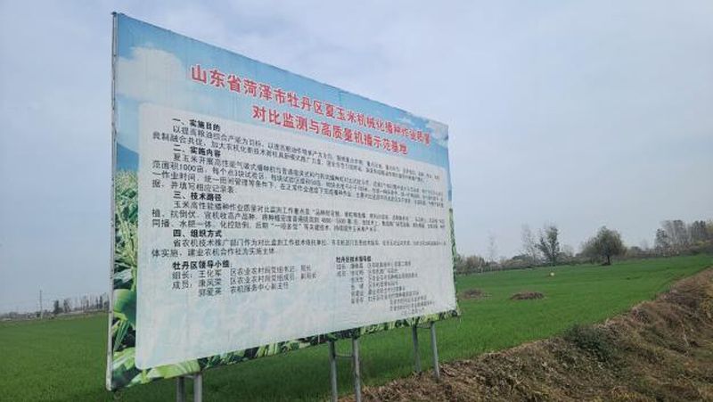 奧龍高性能小麥播種機播種效果獲用戶(hù)點(diǎn)贊